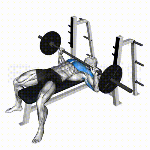 Barbell Bench Press