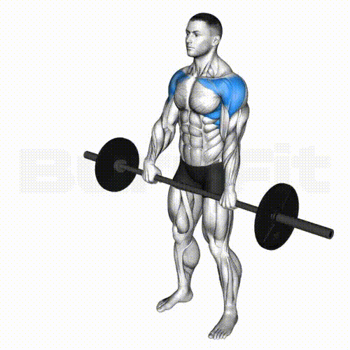 BB Front Raise