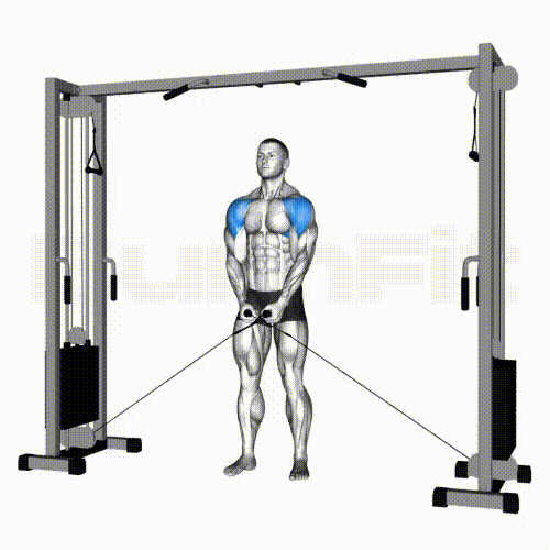 Cable Lateral Raise