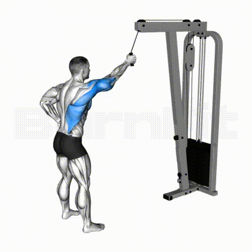 Cable One Arm Pulldown