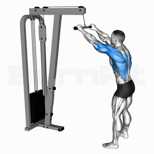 Cable Straight Arm Pulldown