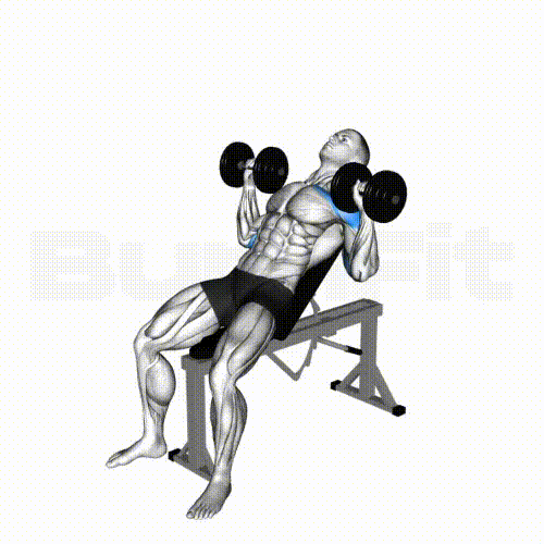 Dumbbell Incline Bench Press