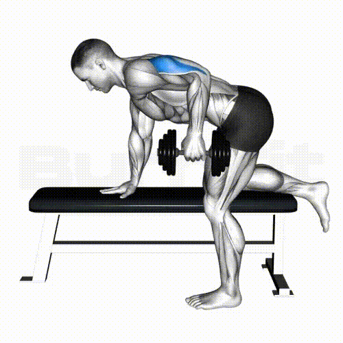 Dumbbell Kickback