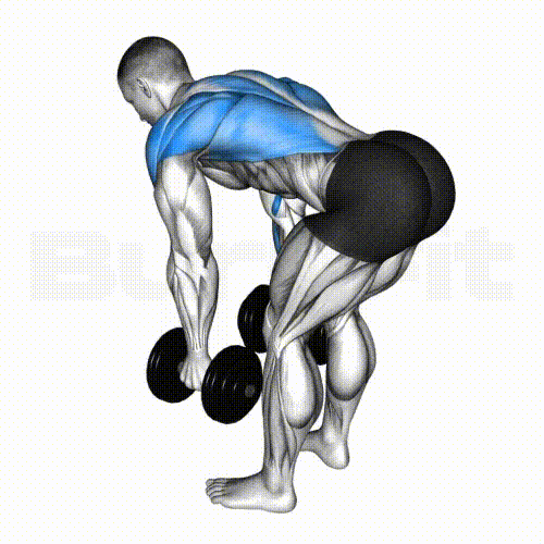 Dumbbell Row