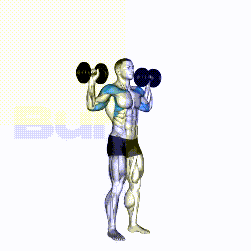 DB Shoulder Press