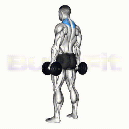 Dumbbell Shrug