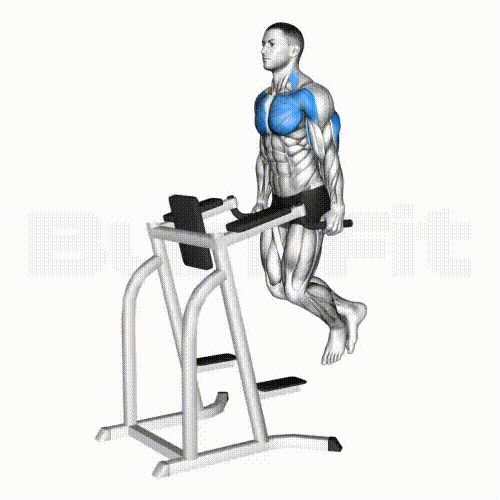 Dips