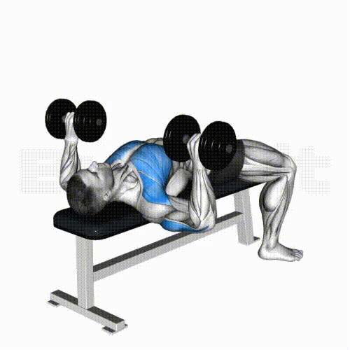 Dumbbell Bench Press