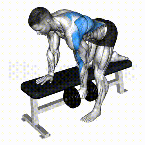 Dumbbell Row