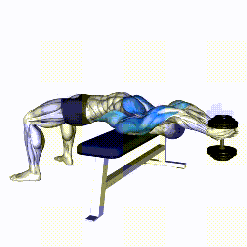 Dumbbell Pullover