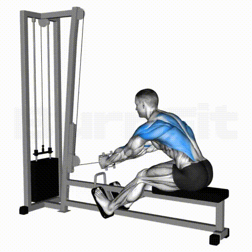 Seated Cable Row