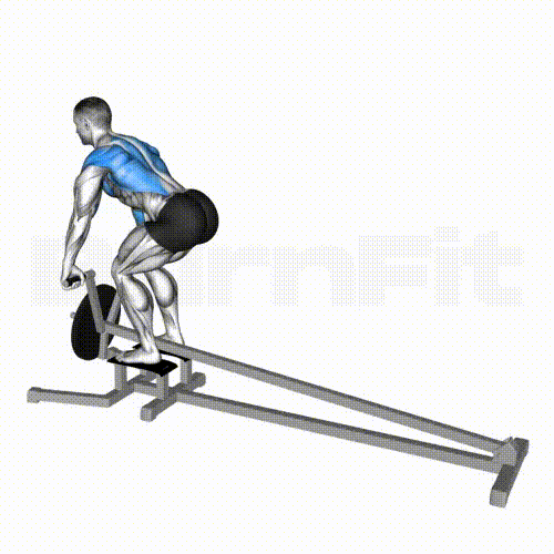 T-Bar Row