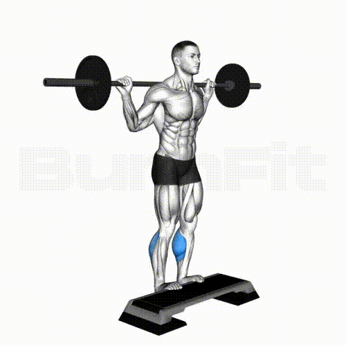 Calf Raise Barbell