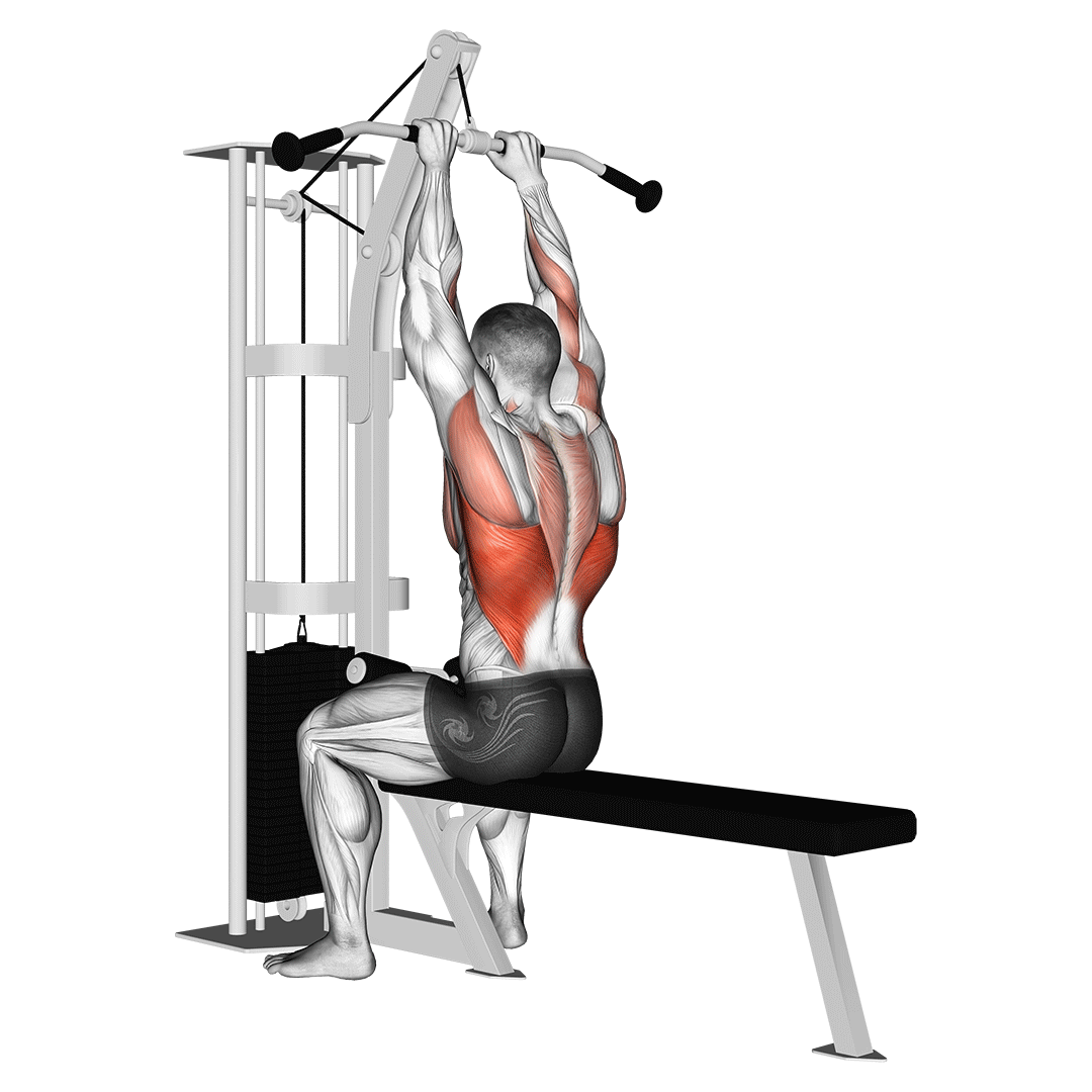 Close Grip Lat Pulldown