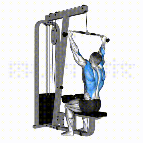 Lat Pulldown